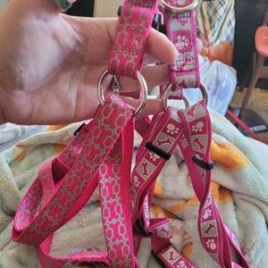 Used dog harness